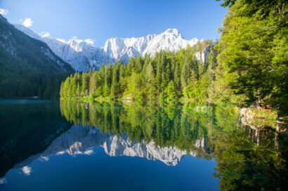 shutterstock_1389549098