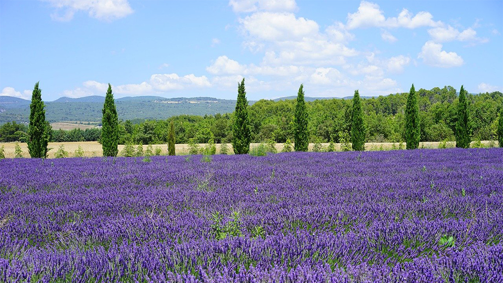 collina-toscana