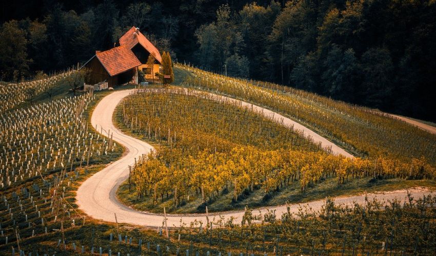 Itinerario Slovenia