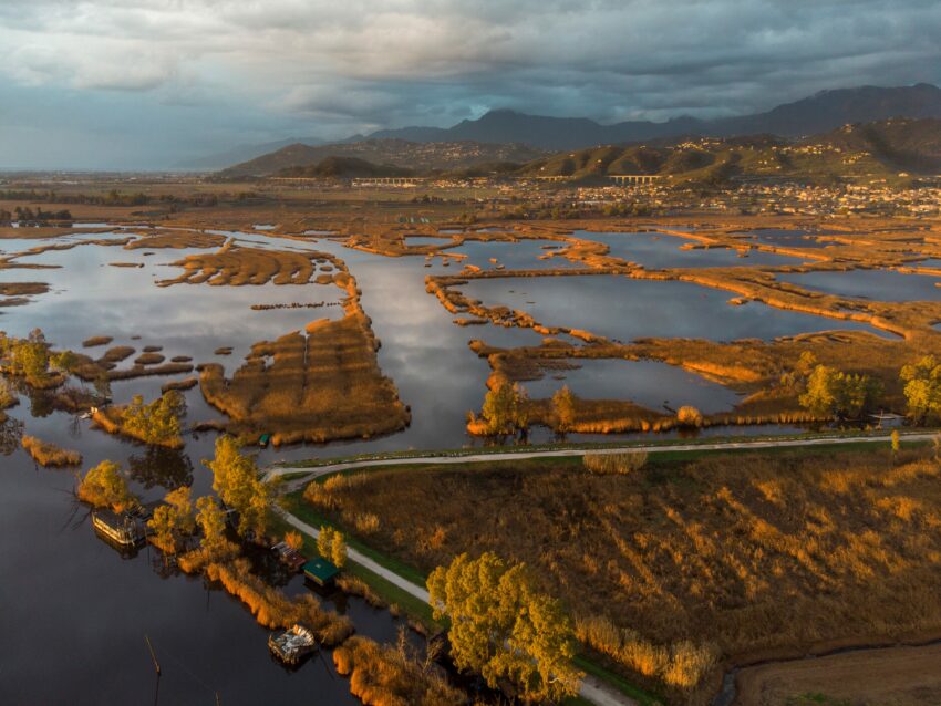 Lago di Massaciuccoli- Parco Naturale S. Rossore-Migliarino-Massaciuccoli-min